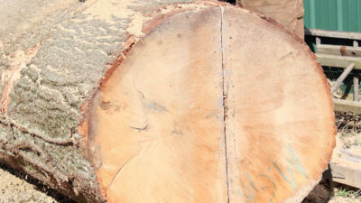 Log Splitting
