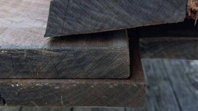 Thermally Modified Poplar (End View)