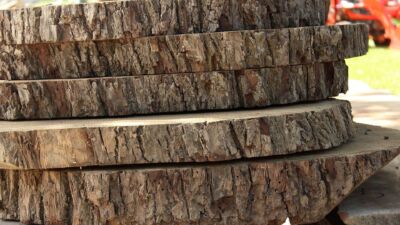 Walnut Live Edge Rounds
