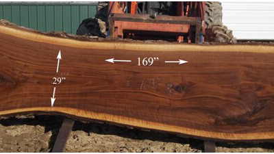 Walnut Slab